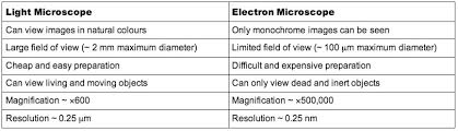 Cells Bioninja