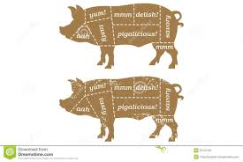 Barbecue Pig Butchers Chart Stock Vector Illustration Of