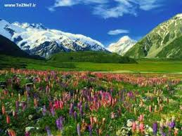 Dari auckland, kami menaiki air new zealand ke christchurch. Happy Ridvan Jashne Tabeyat Mobarak Bad Harchan Ke Dar Khabe Gheflat Dar Tayaranam Travel Destinations Unique New Zealand Image Scenery