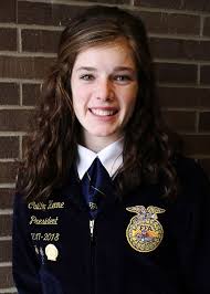 MICHIGAN CAREER EDUCATION CONFERENCE