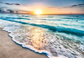 Go To The Beach The Essential Checklist For Your Next Getaway Affordable and search from millions of royalty free images, photos and vectors. waters edge resort
