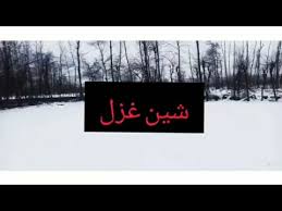 Sheen Gazal By Aashiq Khanday New Kashmiri Gazal Latest Kashmiri Video Youtube Tone harmuk bartal audio & video download, free download tone harmuk bartal, keep visiting downloadne to download latest updated videos and songs. youtube