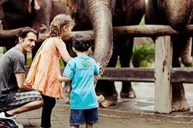 Terlebih gajah tunggang, tidak mungkin. Lewat Binatang Manusia Bisa Berkaca Halaman All Kompas Com