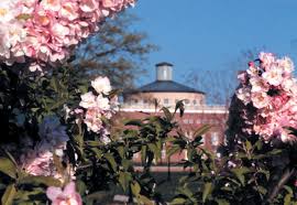 College of Staten Island to Receive Israel Unity Award