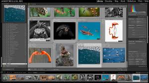 If you need more storage. Using Adobe Lightroom Classic And Photoshop Cc Offline Muench Workshops