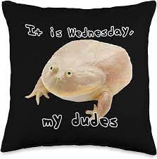 Amazon.com: Official It is Wednesday My Dudes It is Wednesday My Dudes  Funny Edgy Frog Meme Throw Pillow, 16x16, Multicolor : Home & Kitchen