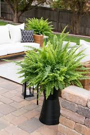 11 Of The Best Ikea Hacks We Ve Seen This Year Modern Planters Ikea Garden Outdoor Urns
