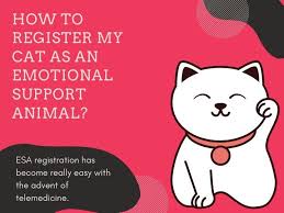 Over 800 verified reviews · over 5k verified reviews How To Register My Cat As An Emotional Support Animal Emotional Support Animal Emotional Support Emotions