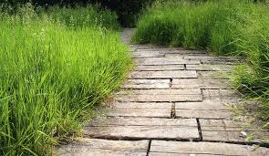 Thinking About Paths Through My Garden Railroad Ties Landscaping Walkways Paths Deck Yard Ideas
