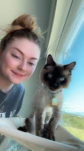 This little monster is named Tiramisu . He just turned 2. Story behind him  was I was guilted into taking him . I really was not wanting a second cat .  He