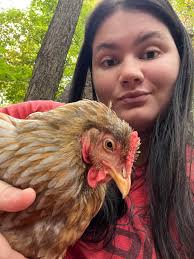 Pumpkins and gourds for farm animals