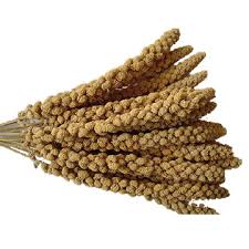 Image result for MILLET