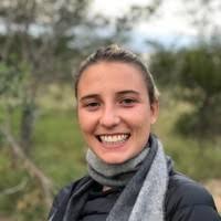 30+ "```````````````````` Hersch" profiles