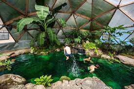 Tropical Greenhouse in Cold Climate - Growing Spaces