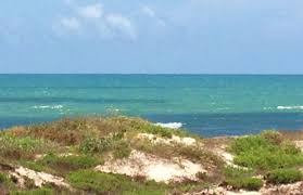 Padre Island National Seashore Coastal Bend Life
