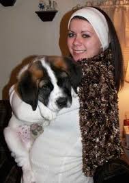 Black And White St Bernard Puppy A Smiling Lady Is Holding A Big Brown With White And Black Saint Bernard Puppy In Her Hands The Pup S Head Loo St Bernard Dogs Dog Breeds Pictures Bernard Dog