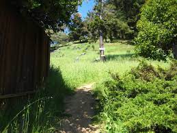 Trail Trekkers Forge A New Path In El Cerrito