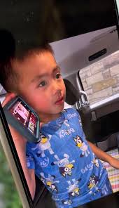 Lawmaker proposes 'Purple Alert' after tragic death of autistic child