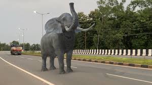 Jun 10, 2018 · download wildlife ar apk 1.0 for android. Ar Real Animals For Android Apk Download