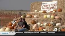 Crismor's Pumpkin Patch opens with busy first week