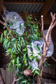 Australian eastern standard time (aest) +10 ore, negli stati del new south wales, victoria, tasmania e nell'australian capital territory (act). Storie Dal Mondo Maria Dai Caffe Di Londra A Personal Assistant In Australia