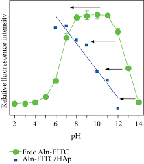 FITC‐Labeled Alendronate as an In Vivo Bone pH Sensor