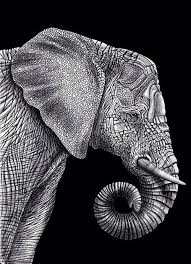 Black And White Elephant Pictures Black And White Elephant Ink Pen Drawings Elephant Drawing Elephant Art