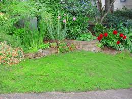 These gorgeous ground cover ideas will inspire you. How To Choose Groundcovers And Plants To Use As Lawn Alternatives Ground Cover Plants Plants Grass Alternative