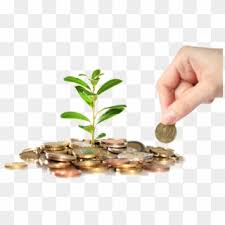 1000 x 1000 jpeg 40 кб. Homa Living Real Estate Money Plant Hd Png Download 800x553 270360 Pngfind