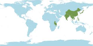 Image result for Microstegium fasciculatum