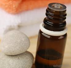 How to tell if a cactus is underwatered. What Are The Benefits Of Cactus Oil For Hair With Pictures