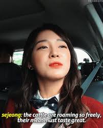 Bold — takennormal — availabl. Busted Ep 2 Sehun Got Amused At Sejeong S