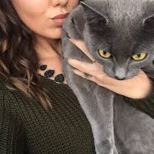 Wann eine katze kastriert wird, sollte selbstverständlich immer gemeinsam mit dem tierarzt besprochen hier wird alles von der ankunft der mieze über die geburt der welpen bis hin zu deren aufzucht und. Kartauser Katze Sterilisieren Tiere