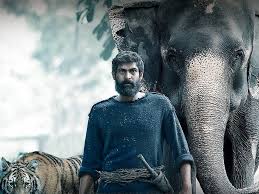 Slowly he amasses a fortune,and is able to build his own private zoo,housing tigers,lions,bears,an. Rana Daggubati S Haathi Mere Saathi Pushed Due To Covid 19