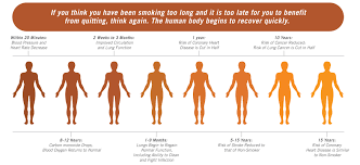 Learn Myquit Smoking Cessation