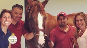 Consultorio Veterinario - Dra. Carolina Rojas