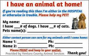 Great Idea Print One Out And Keep It In Your Purse Or Wallet Taking 2 Minutes To Do This Now Could Save Stress And Time Later Pet Emergency Diy Pet Care Pets