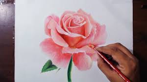 Let summer enter into your home with this. Drawing Realistic Flower Drawing Colour Pencil