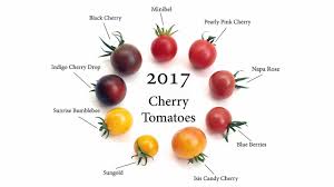 Maybe you would like to learn more about one of these? 2017 Cherry Tomatoes Youtube