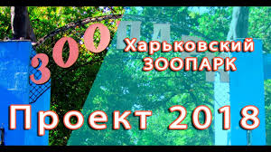 Стала известна дата открытия зоопарка в харькове. Harkovskij Zoopark Obzavedetsya Planetoj Obezyan Za Sotni Millionov Griven