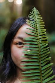 The gorgeous Abby! We had so much fun playing in the redwoods then getting  super wet and sandy at the beach. Thank you for being up for anything and  for accessing my