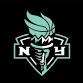 Dallas Wings at New York Liberty event in Brooklyn, NY