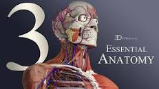 Image result for ‫دانلود کتاب آناتومی به زبان ساده دکتر نیکروش‬‎