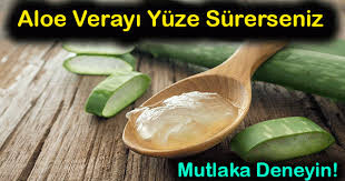 Aloe Vera Bitkisi Yuze Surulurmu Aloe Vera Jelin Cilde Faydalari