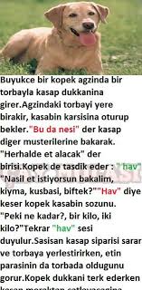 Akilli Kopek Kopek Komik Fikralar Guzel Soz