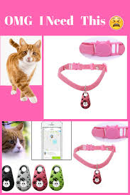 Best gps smart collars for dogs. The Pets Smart Mini Gps Tracker Waterproof Bluetooth Tracer For Cats To Always Know Where The Cat Wonders Off And Neve Cats Cool Pets Dog Crossbreeds