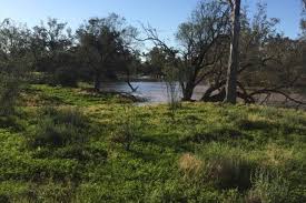 Latest weather station observations near walgett, nsw (148.12/30.02) rel. 2 Rural Properties For Rent In Walgett Nsw 2832 Domain