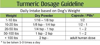 carprofen dosage chart virdsam club