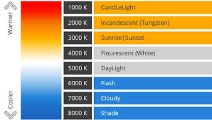 The color temperature of a light bulb or an led fixture describes how the light appears when we look directly at the fixture or light bulb. 3 Best Photography Light Bulbs What Color Temperature Is Best For Photography
