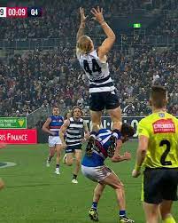 Tom stewart is a member of vimeo, the home for high quality videos and the people who love them. Geelong Cats Tom Stewart Mark R9 Facebook